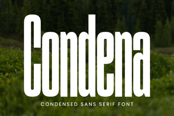 Condena: A Refined Sans Serif for Thoughtful Editorial Design