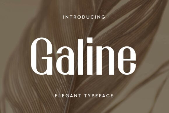 Galine: A Modern Sans Serif Font for Digital Clarity