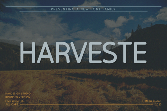 Harveste Rounded: A Designer’s Real-World Review