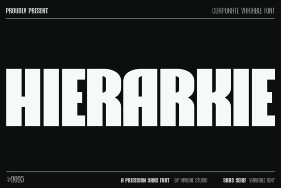 Hierarkie: A Structural Sans Serif for Digital Clarity
