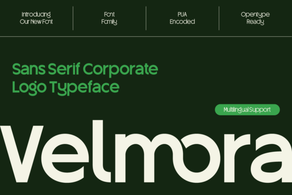 Velmora Regular: A Sans Serif Font That Holds Its Own in Real Campaigns