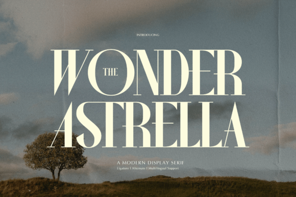 Wonder Astrella: A Premium Serif Font for Scroll-Stopping Campaigns