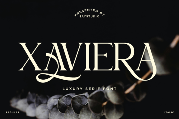 Xaviera Regular: A Serif Font for Refined Digital Branding